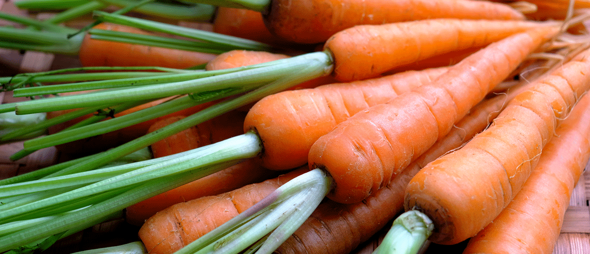 carrots-article-1160x500